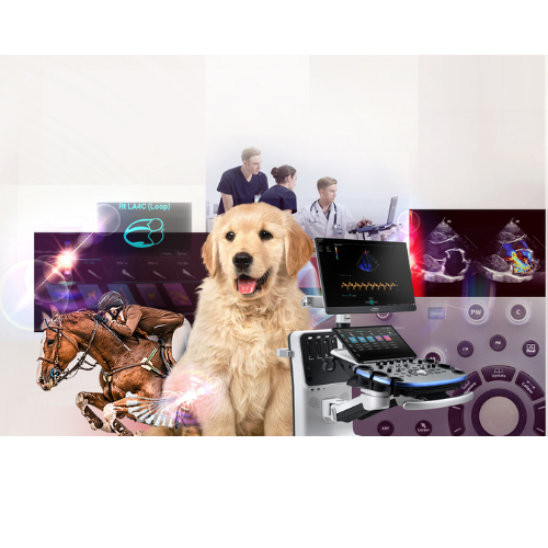 Equipo de ultrasonido portátil